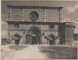 L'AQUILA - CHIESA DI S.MARIA DI COLLEMAGGIO - Foto Alinari Cm.20x25 - Lieux