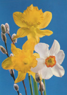 FLOWERS Vintage Ansichtskarte Postkarte CPSM #PAR024.DE - Flowers