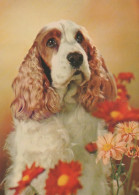 HUND Tier Vintage Ansichtskarte Postkarte CPSM #PAN891.DE - Hunde