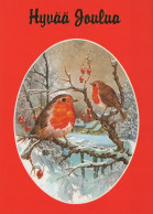 VOGEL Tier Vintage Ansichtskarte Postkarte CPSM #PAM941.DE - Birds