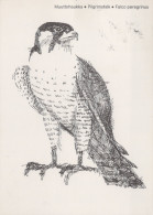 VOGEL Tier Vintage Ansichtskarte Postkarte CPSM #PAN249.DE - Oiseaux