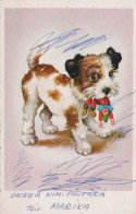 CANE Vintage Cartolina CPSMPF #PKG924.IT - Hunde