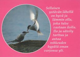 UCCELLO Animale Vintage Cartolina CPSM #PBR565.IT - Birds