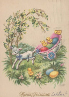 PASQUA POLLO UOVO Vintage Cartolina CPSM #PBO743.IT - Pâques