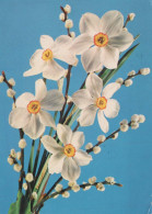FLORES Vintage Tarjeta Postal CPSM #PAR022.ES - Flowers