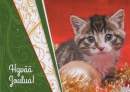 GATO GATITO Animales Vintage Tarjeta Postal CPSM #PAM559.ES - Gatti