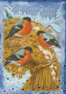 PÁJARO Animales Vintage Tarjeta Postal CPSM #PAM876.ES - Oiseaux