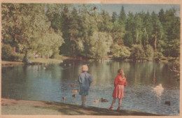 KINDER KINDER Szene S Landschafts Vintage Ansichtskarte Postkarte CPSMPF #PKG555.DE - Scenes & Landscapes