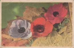 FLOWERS Vintage Ansichtskarte Postkarte CPA #PKE690.DE - Flowers