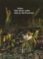 FLOWERS Vintage Ansichtskarte Postkarte CPSM #PBZ094.DE - Flowers