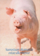 PIGS Tier Vintage Ansichtskarte Postkarte CPSM #PBR757.DE - Schweine