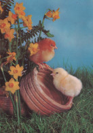 OSTERN HUHN EI Vintage Ansichtskarte Postkarte CPSM #PBP243.DE - Pâques