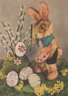 OSTERN KANINCHEN EI Vintage Ansichtskarte Postkarte CPSM #PBO367.DE - Pâques