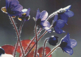 FLEURS Vintage Carte Postale CPSM #PAS466.FR - Flowers