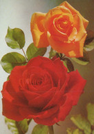 FLEURS Vintage Carte Postale CPSM #PAS166.FR - Flowers