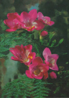 FLEURS Vintage Carte Postale CPSM #PAR565.FR - Flowers
