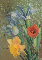 FLEURS Vintage Carte Postale CPSM #PAR083.FR - Flowers