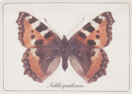 MARIPOSAS Animales Vintage Tarjeta Postal CPSM #PBS419.ES - Butterflies