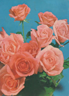 FLOWERS Vintage Postcard CPSM #PAS587.GB - Flowers