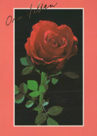 FLOWERS Vintage Postcard CPSM #PAS284.GB - Fleurs