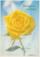 FLOWERS Vintage Postcard CPSM #PAS344.GB - Fleurs