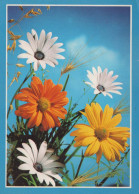 FLOWERS Vintage Postcard CPSM #PAS464.GB - Flowers