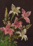 FLOWERS Vintage Postcard CPSM #PAR142.GB - Flowers