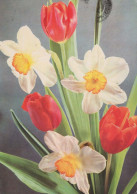 FLOWERS Vintage Postcard CPSM #PAR021.GB - Flowers