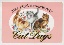 CAT KITTY Animals Vintage Postcard CPSM #PAM436.GB - Gatti