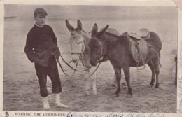 ÂNE Animaux Enfants Vintage Antique CPA Carte Postale #PAA333.FR - Donkeys
