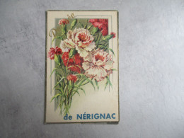 DE NERIGNAC CARTE SOUVENIR OEILLET - Autres & Non Classés