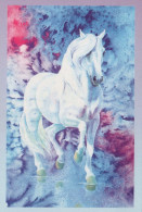 CHEVAL Animaux Vintage Carte Postale CPA #PKE877.FR - Horses