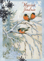 OISEAU Animaux Vintage Carte Postale CPSM #PBR502.FR - Oiseaux