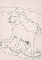 CHIEN Animaux Vintage Carte Postale CPSM #PBQ388.FR - Hunde