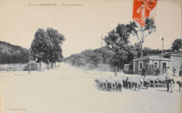 CPA - PARIS - N° 1 - Porte De Bagnolet - Vue Pittoresque , Troupeau De Moutons - (XXe Arrt.) - TBE - Paris (20)