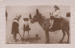 DONKEY Animals Children Vintage Antique Old CPA Postcard #PAA067.GB - Anes