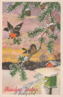 Happy New Year Christmas BIRD Vintage Postcard CPA #PKE813.GB - Nouvel An