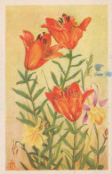 FLOWERS Vintage Postcard CPA #PKE687.GB - Flowers