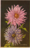 FLOWERS Vintage Postcard CPA #PKE565.GB - Fleurs