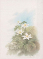 FLOWERS Vintage Postcard CPSM #PBZ875.GB - Fleurs