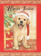 DOG Animals Vintage Postcard CPSM #PBQ519.GB - Cani