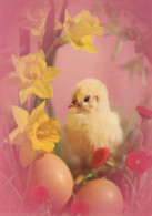 EASTER CHICKEN EGG Vintage Postcard CPSM #PBP179.GB - Easter