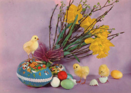 EASTER CHICKEN EGG Vintage Postcard CPSM #PBO929.GB - Pâques