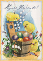 EASTER CHICKEN EGG Vintage Postcard CPSM #PBO802.GB - Pâques