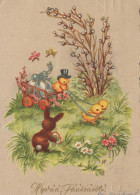 EASTER RABBIT Vintage Postcard CPSM #PBO364.GB - Easter