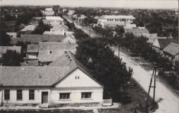 DIOSIG / BIHARDIÓSZEG - BIHOR : VEDERE GENERALA - CARTE VRAIE PHOTO / REAL PHOTO POSTCARD ~ 1960 - '970 (an869) - Rumänien