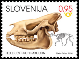 Slovenia 2020 "Mammal Fossils In Slovenia: Prohyracodon Telleri"  Fossil, Prehistoric Animals - Préhistoriques