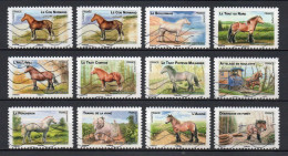 - FRANCE Adhésifs N° 813/24 Oblitérés - Série Complète CHEVAUX DE TRAIT DE NOS RÉGIONS 2013 (12 Timbres) - - Used Stamps