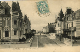 CABOURG - L'Avenue Du Casino - Villas - Cabourg