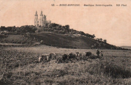 CPA - BÔNE-HIPPONE - Basilique St Augustin (travaux Des Champs Labour) - Edition ND.Photo - Annaba (Bône)